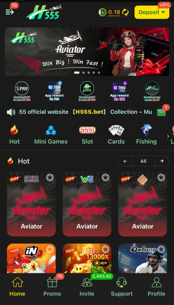 H555 Game